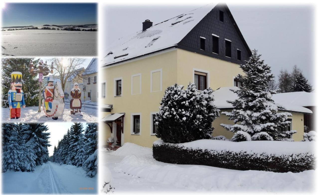 Ferienwohnung Floehatalblick Ольбернхау Экстерьер фото